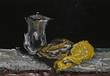 old school still life_thomas werk